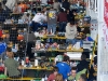 sun-paddock.jpg