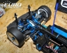 sun-rheinardtamiya-3